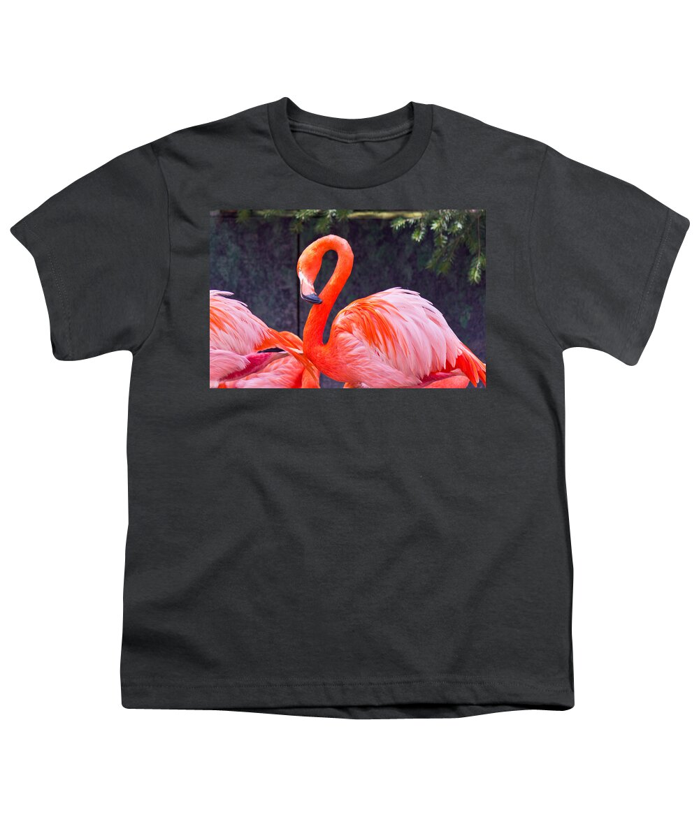 National Youth T-Shirt featuring the photograph Flamingo in the Wild by Jonny D