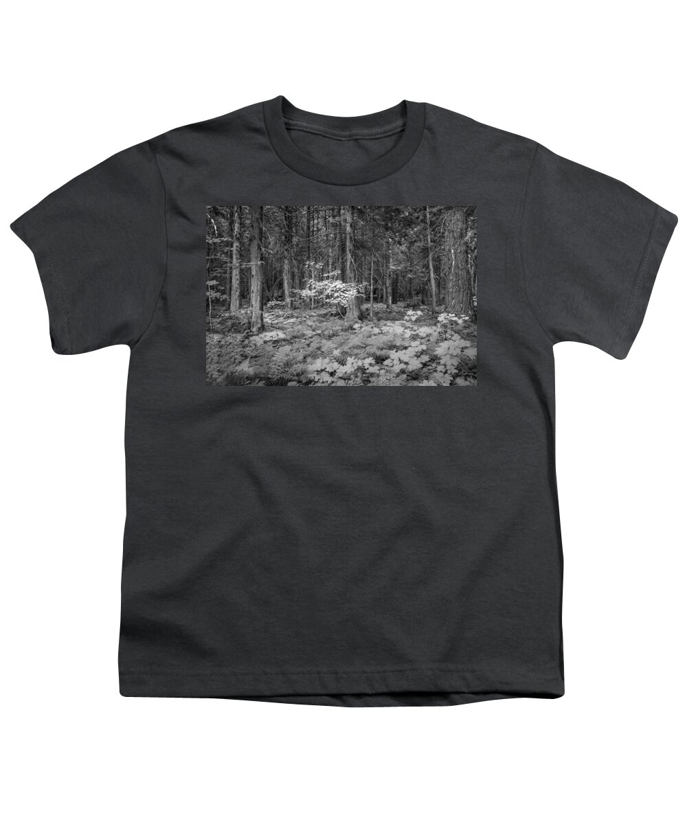 Glacier National Park Youth T-Shirt featuring the photograph Forest Floor Glacier National Park BW by Rich Franco