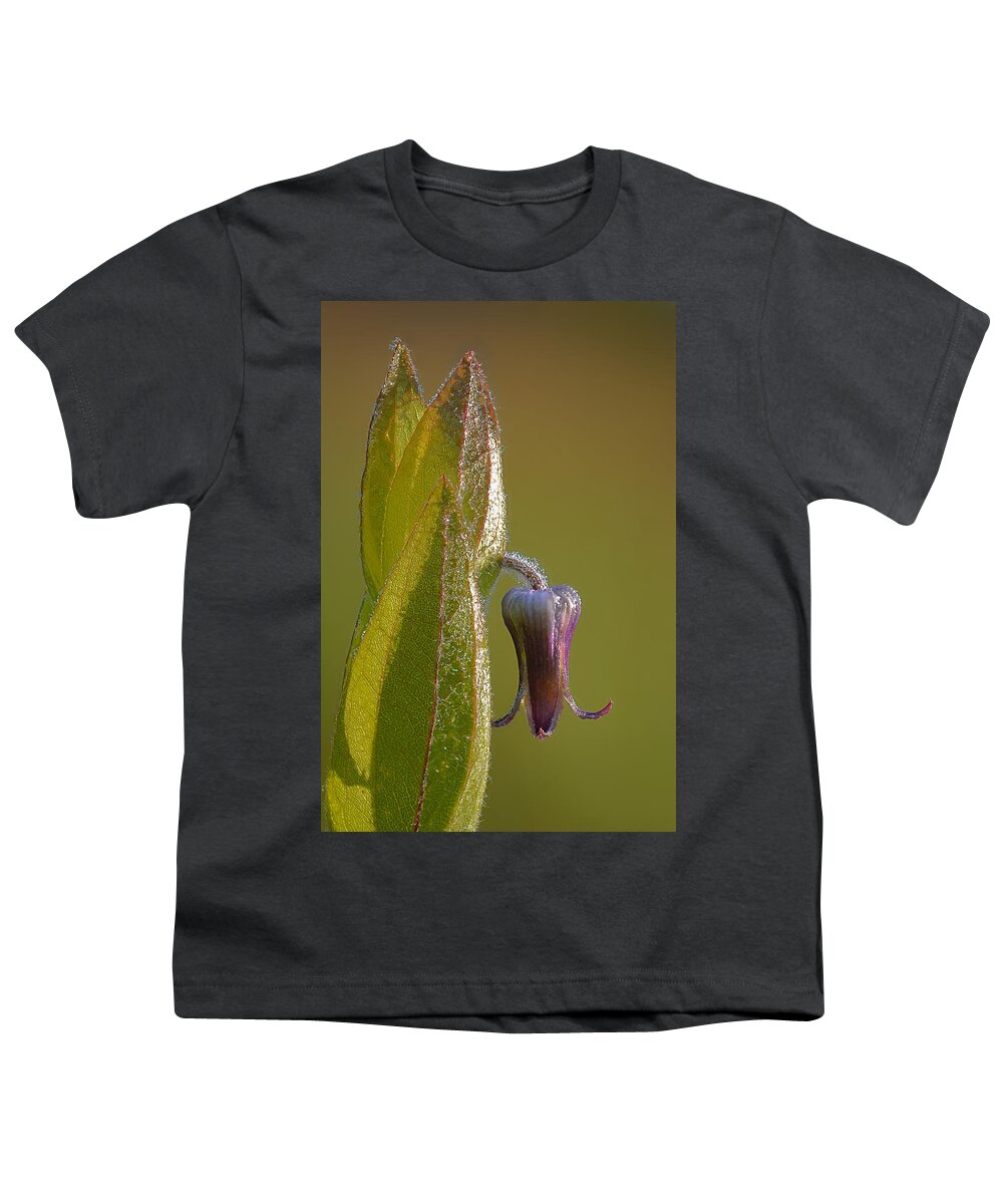 2011 Youth T-Shirt featuring the photograph Fremont's Leather Flower by Robert Charity