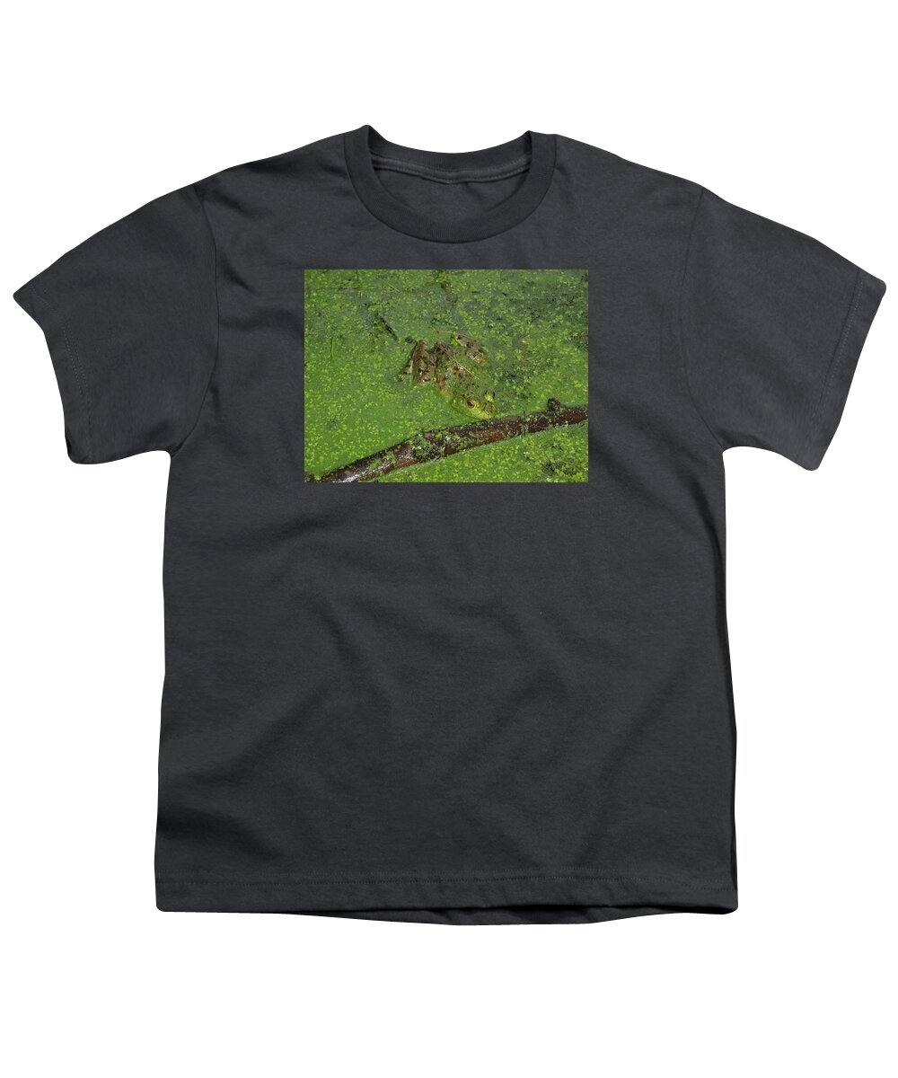  Anura Youth T-Shirt featuring the photograph Froggie by Robert Nickologianis