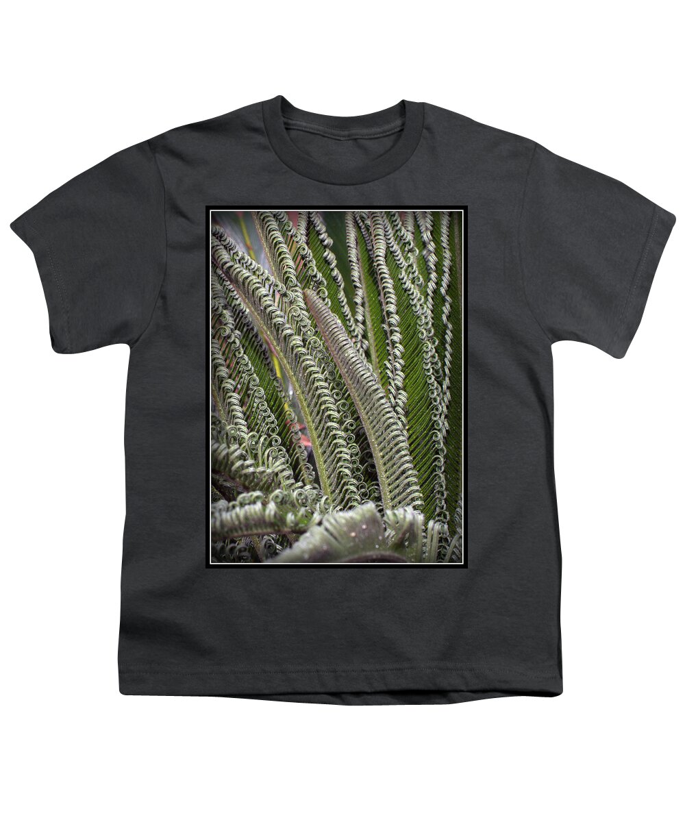 Sago Youth T-Shirt featuring the photograph Fronds Gone Wild by Farol Tomson