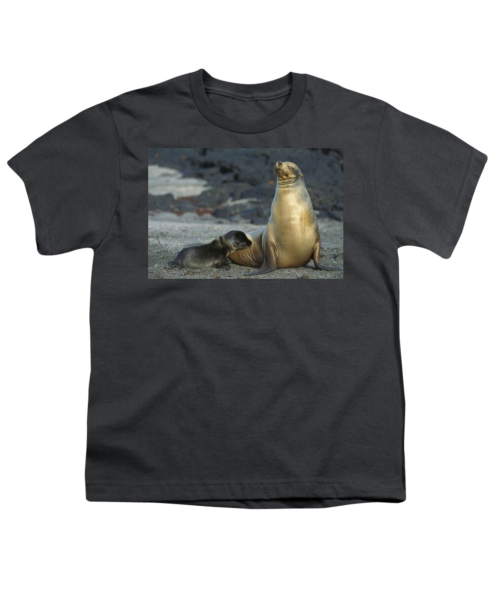 Feb0514 Youth T-Shirt featuring the photograph Galapagos Sea Lion Nursing Newborn by Tui De Roy