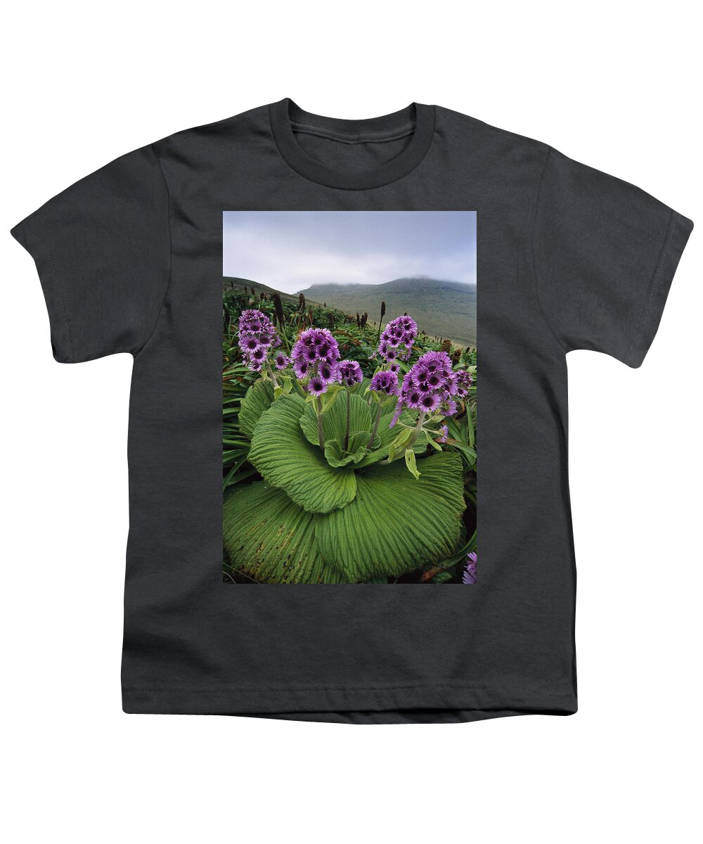Feb0514 Youth T-Shirt featuring the photograph Giant Daisy In Full Bloom Campbell by Tui De Roy