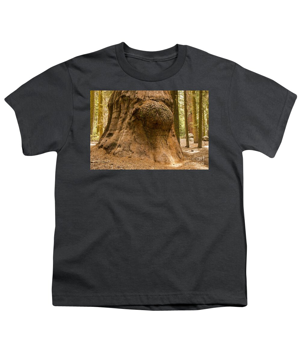Giant Tree Trees Sequoia National Park California Parks Knot Knots Odds And Ends Texture Textures Youth T-Shirt featuring the photograph Giant Knot in Giant Tree by Bob Phillips