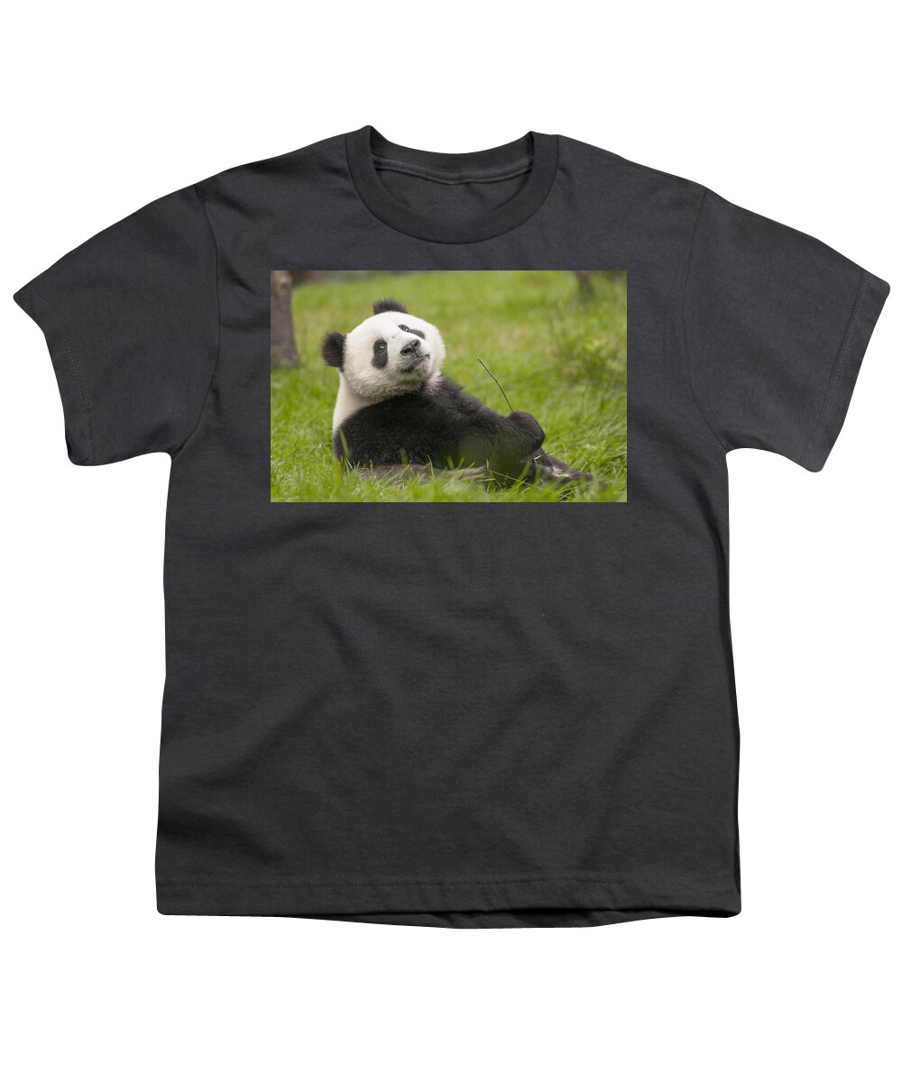 Katherine Feng Youth T-Shirt featuring the photograph Giant Panda Cub Wolong National Nature by Katherine Feng