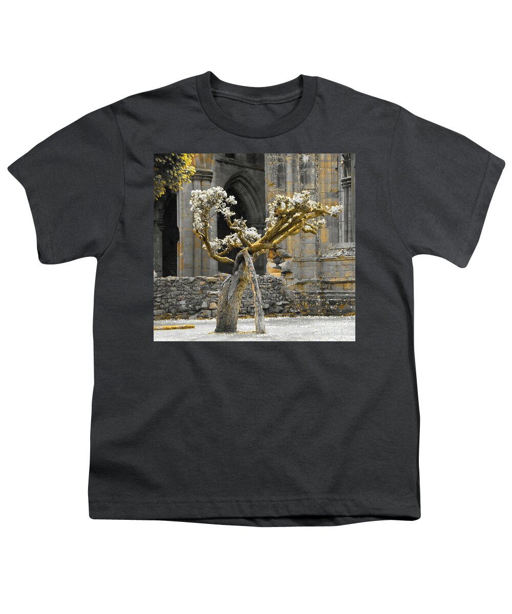 Alone Tree Youth T-Shirt featuring the photograph Golden elderly by Elena Perelman