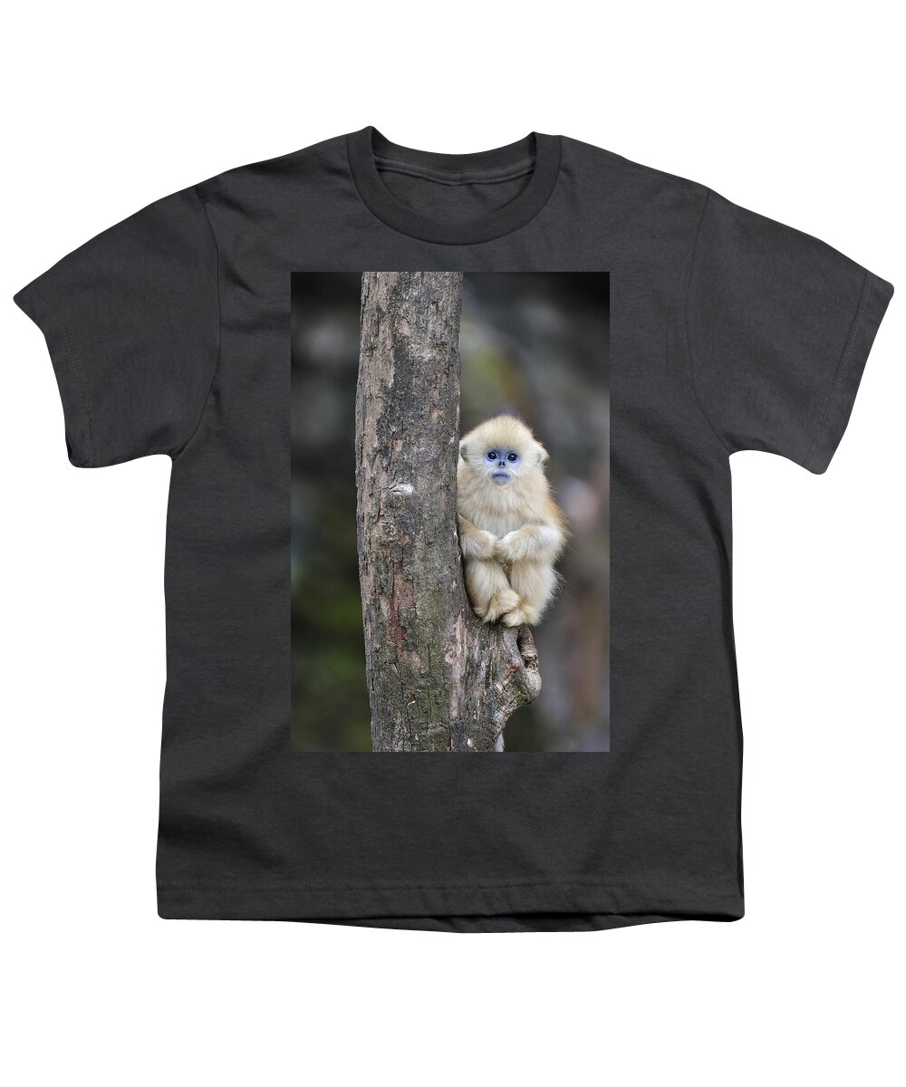 Feb0514 Youth T-Shirt featuring the photograph Golden Snub-nosed Monkey Young China by Thomas Marent