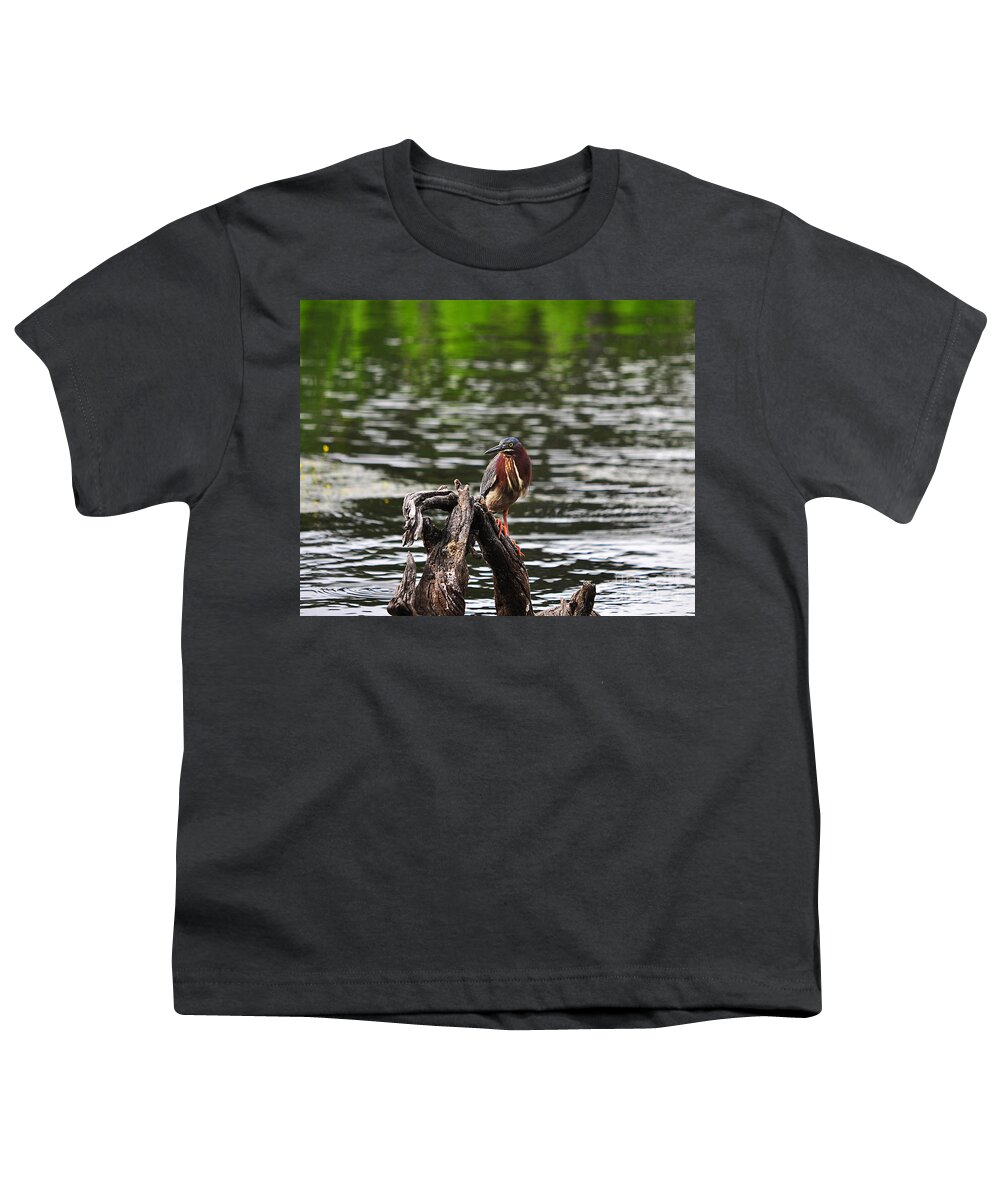 Heron Youth T-Shirt featuring the photograph Gorgeous Green Heron by Al Powell Photography USA