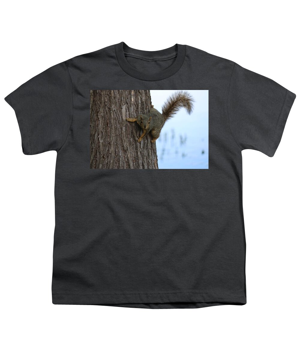  Youth T-Shirt featuring the photograph Lookin' for Nuts by Christy Pooschke