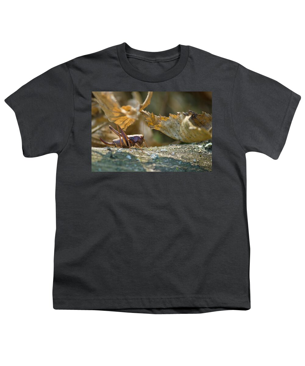 Grasshopper Youth T-Shirt featuring the photograph Grasshopper in natural forrest environment by Brch Photography