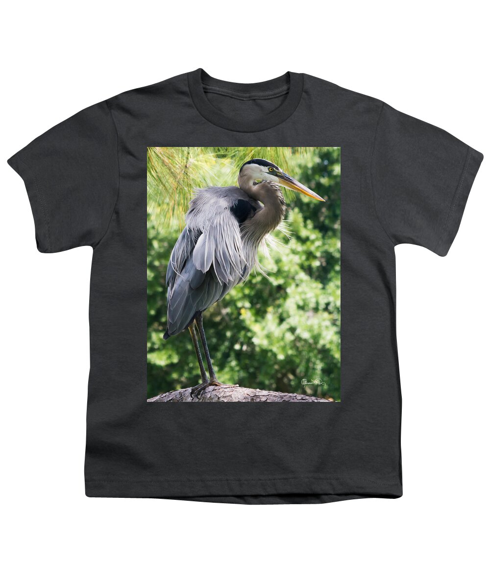 susan Molnar Youth T-Shirt featuring the photograph Great Blue Heron III by Susan Molnar