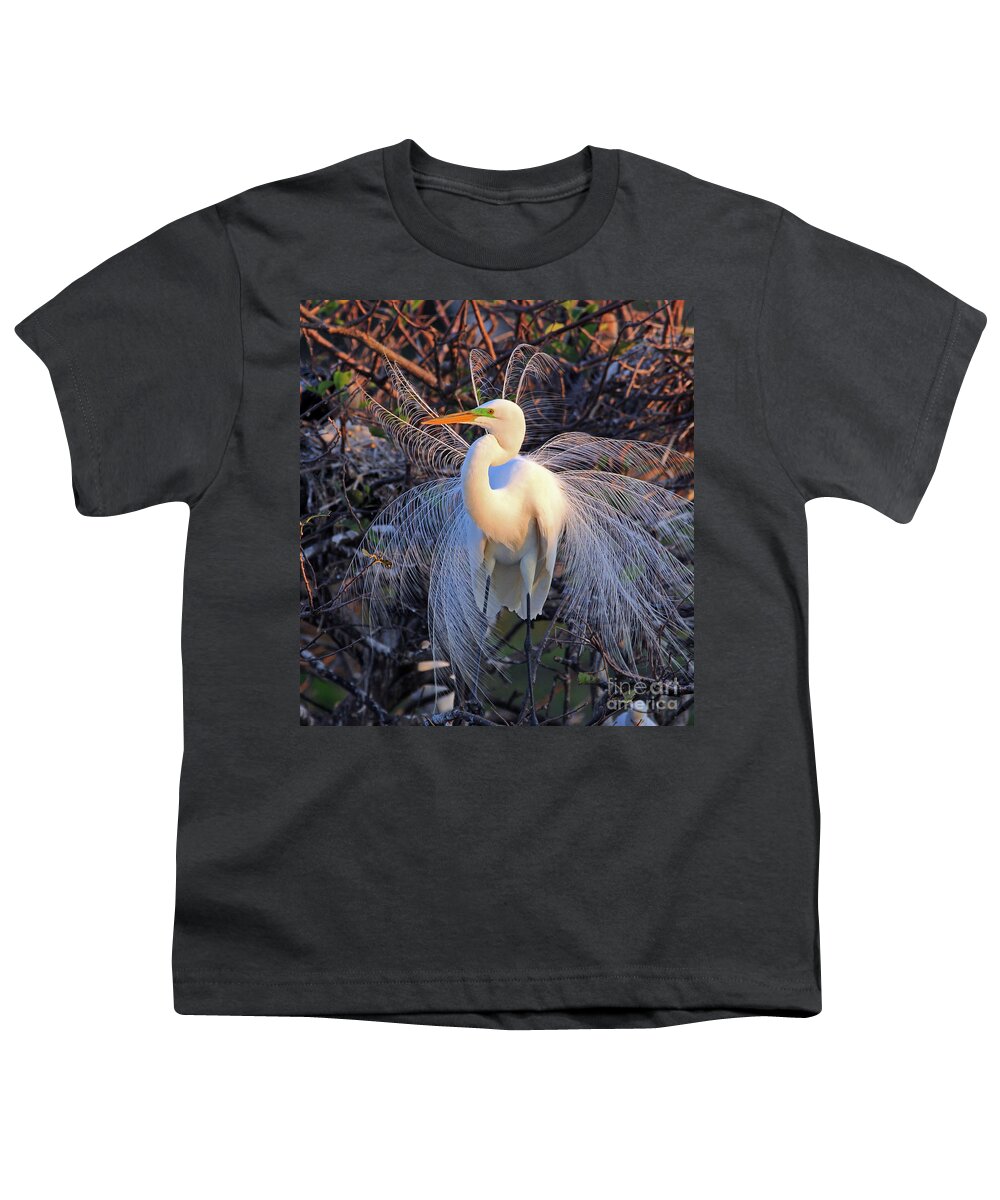 Great Egret Youth T-Shirt featuring the photograph Great Egret Display by Larry Nieland