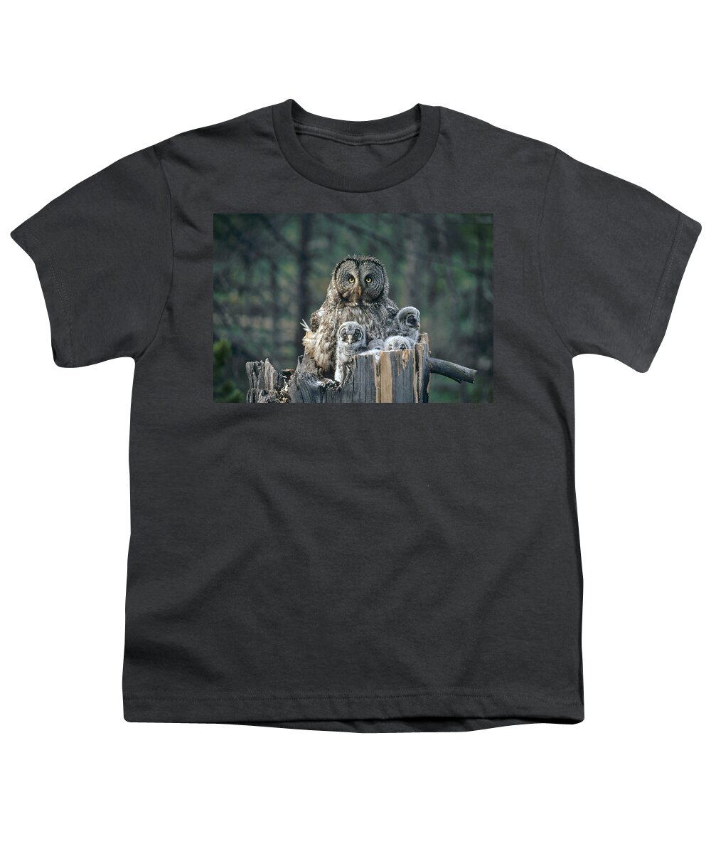 Feb0514 Youth T-Shirt featuring the photograph Great Gray Owl With Owlets In Nest by Michael Quinton