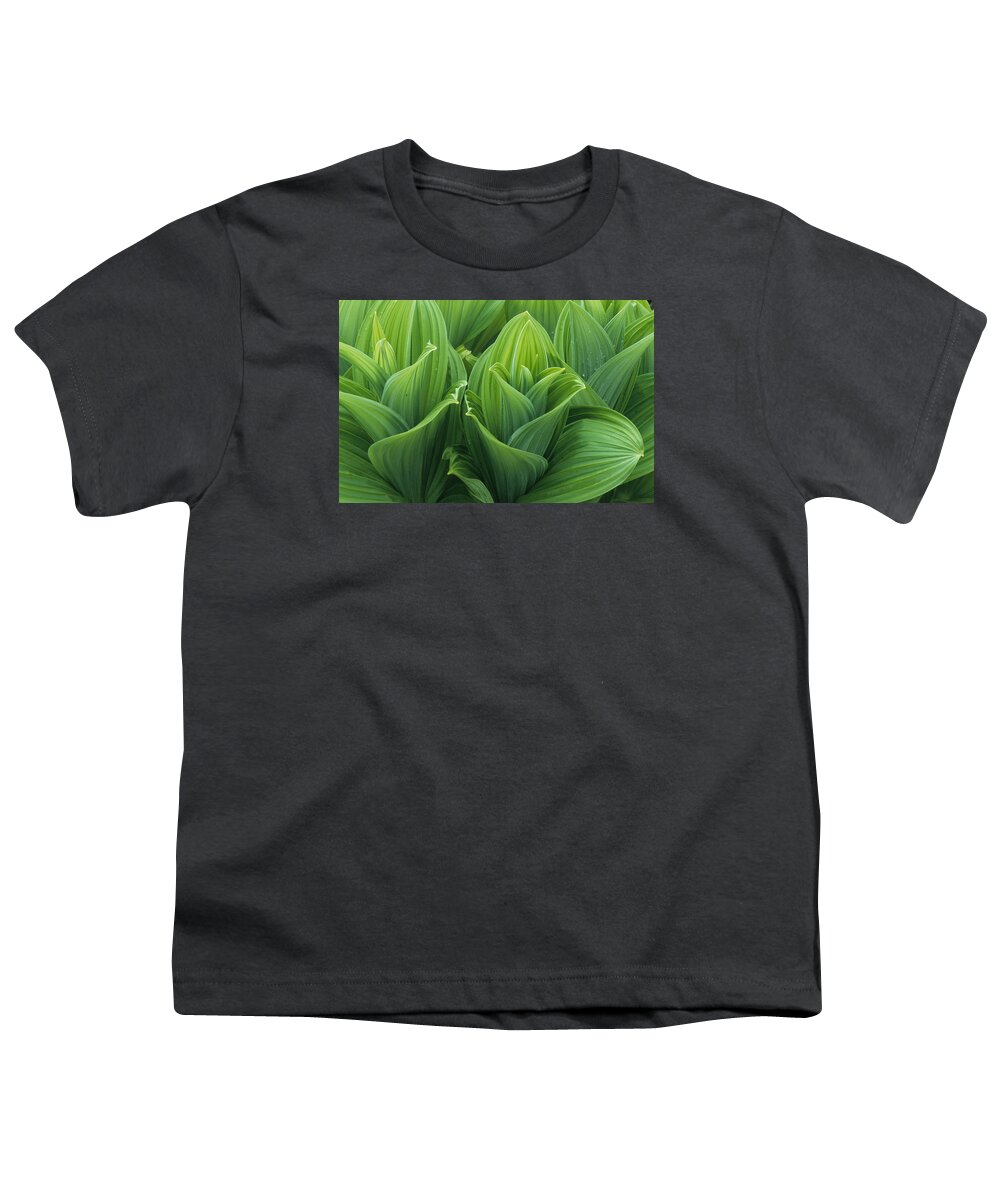 Flpa Youth T-Shirt featuring the photograph Green False Hellebore by Martin Withers