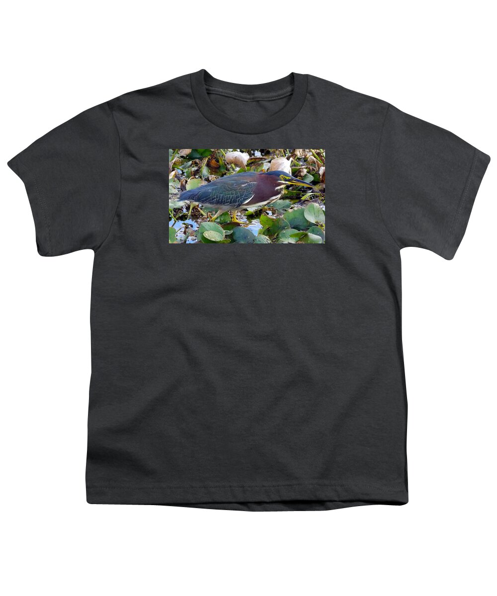 Green Heron Art Youth T-Shirt featuring the photograph Green Heron La Chua Trail 2 by Sheri McLeroy