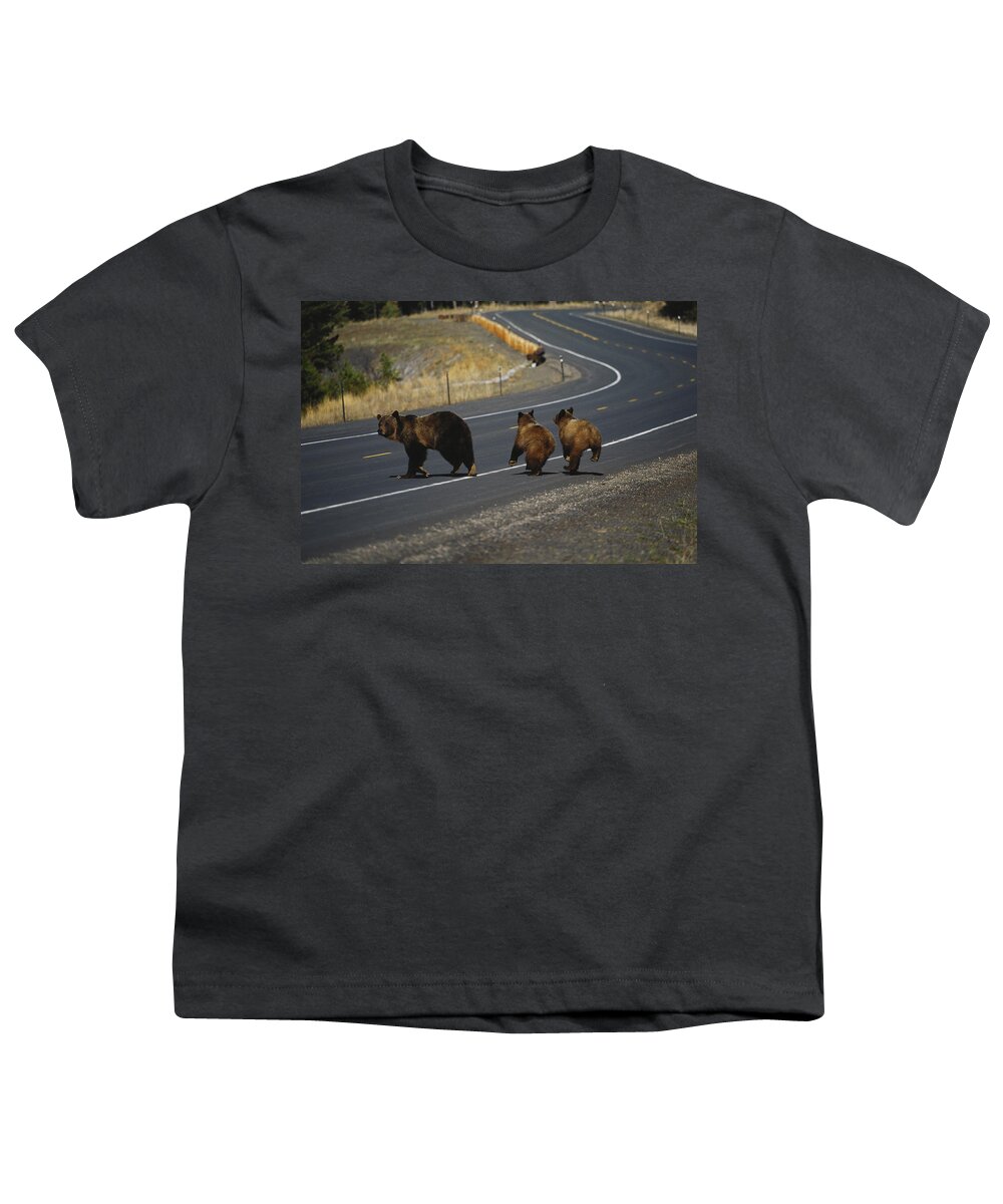 Animal Youth T-Shirt featuring the photograph Grizzlies Cross A Road by Thomas And Pat Leeson