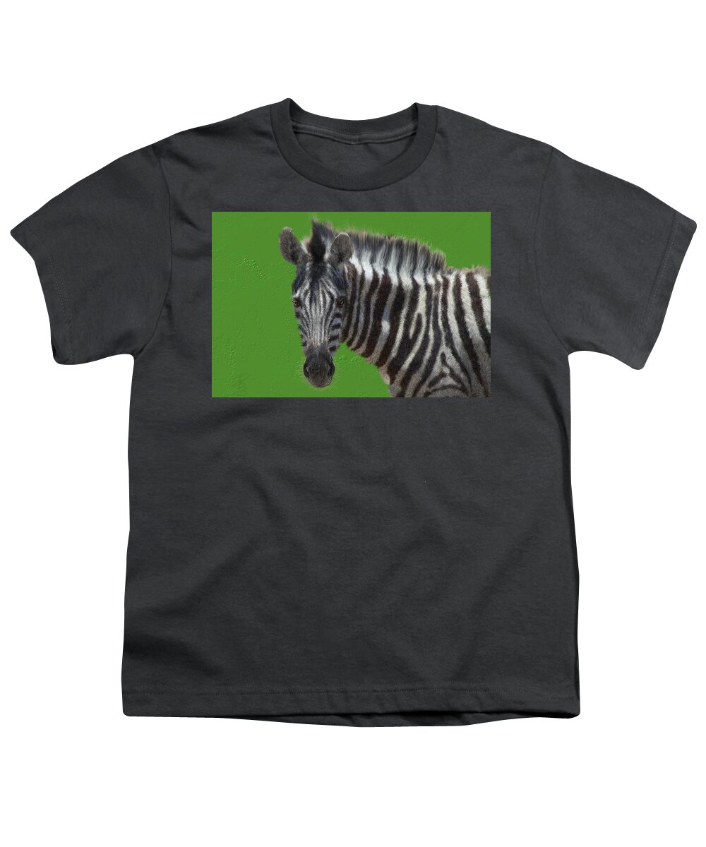 Zebra Youth T-Shirt featuring the digital art Hairy zebra by Debra Baldwin