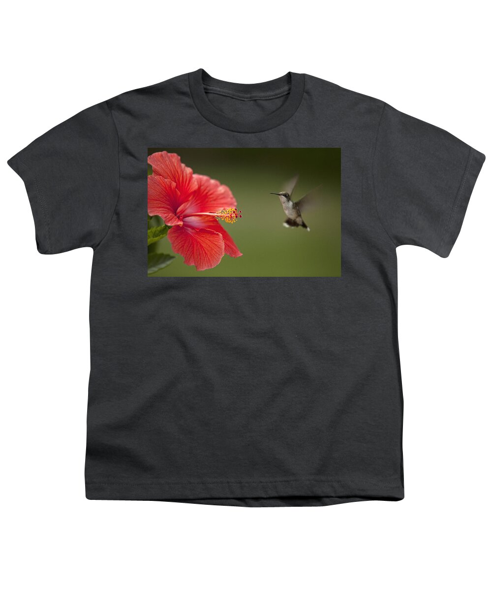 Hummingbird Youth T-Shirt featuring the photograph Hibiscus Hummingbird by John Crothers