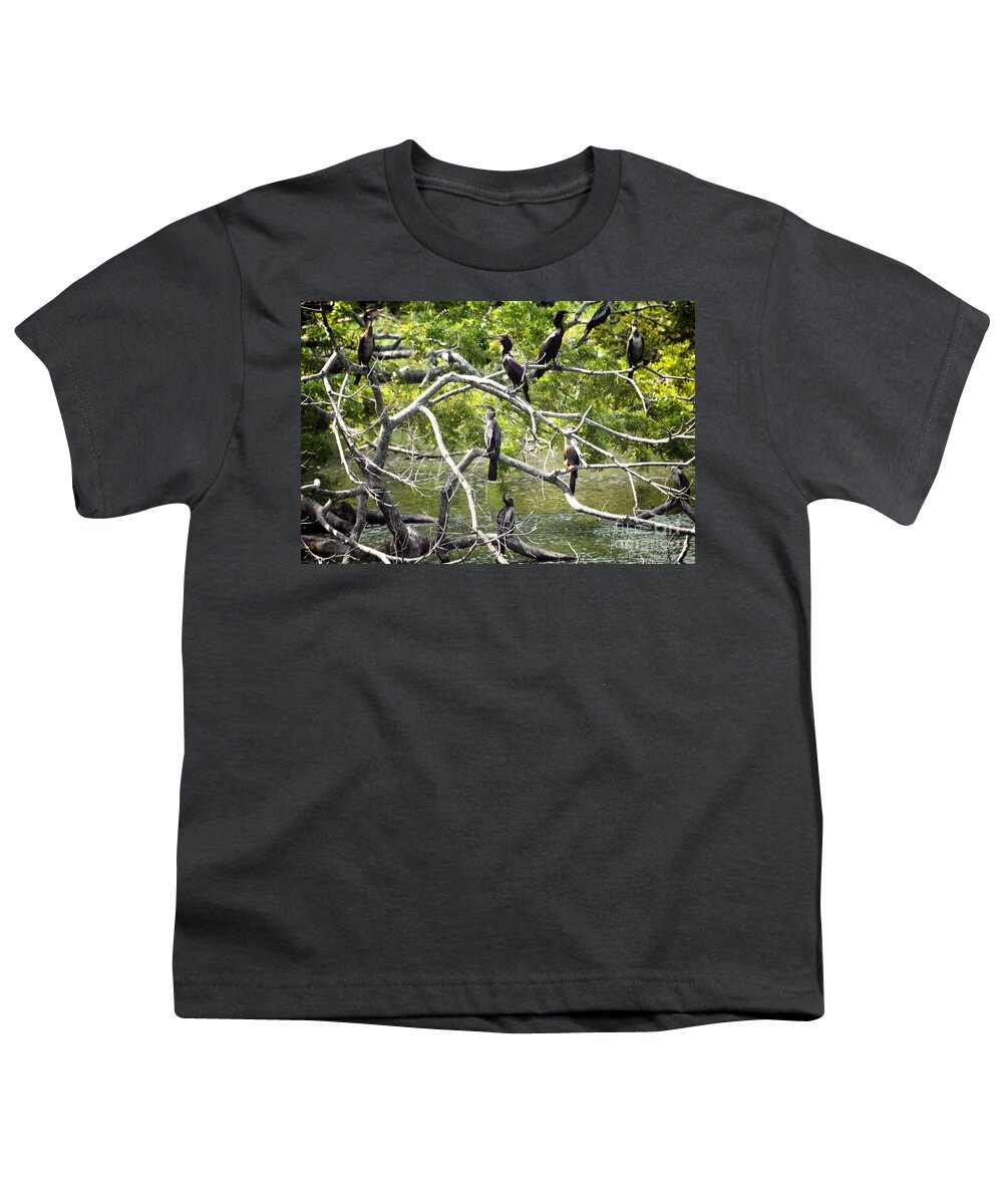 Birds Youth T-Shirt featuring the photograph HOA Meeting by Bob Hislop