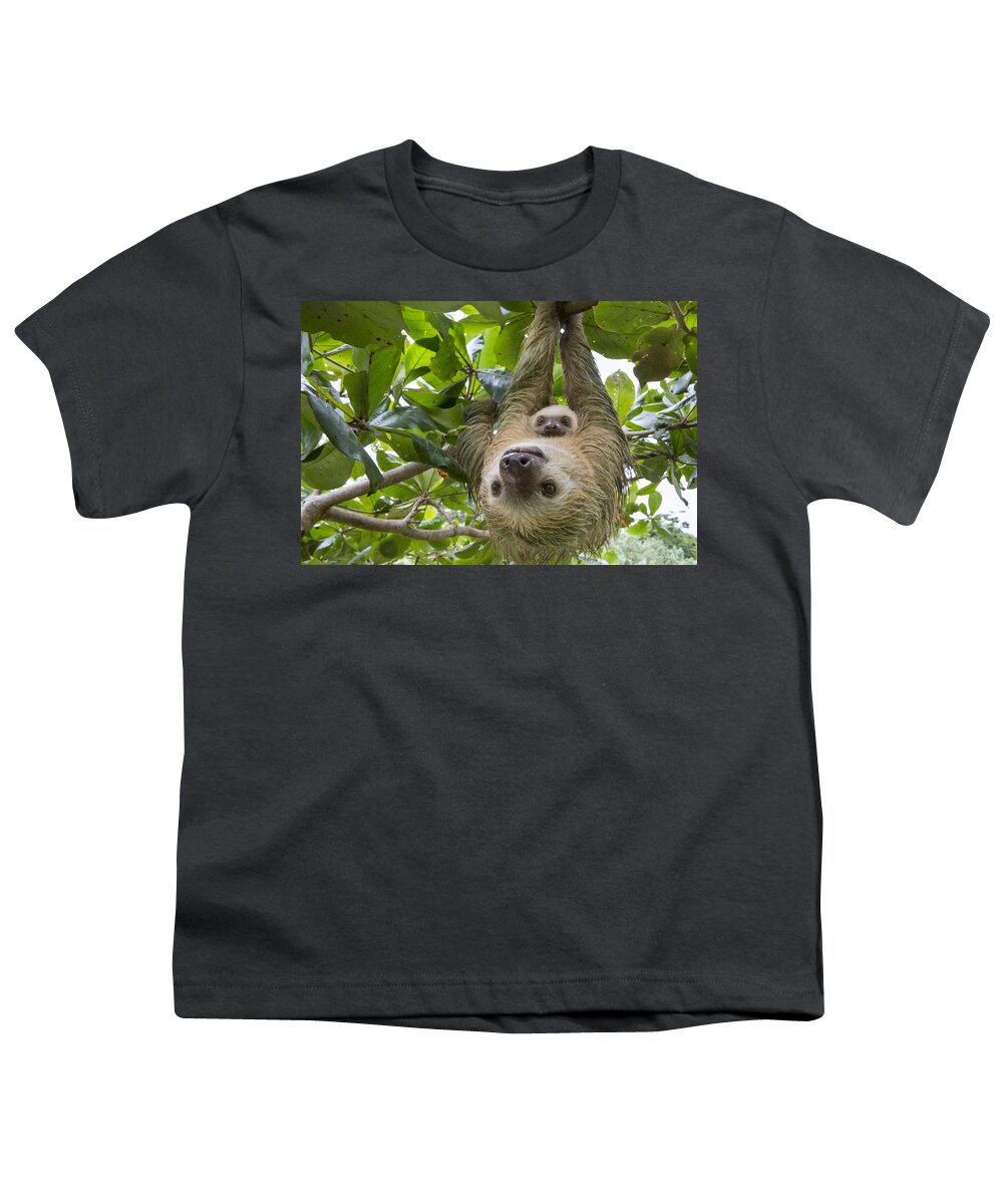 Suzi Eszterhas Youth T-Shirt featuring the photograph Hoffmanns Two-toed Sloth And Old Baby by Suzi Eszterhas
