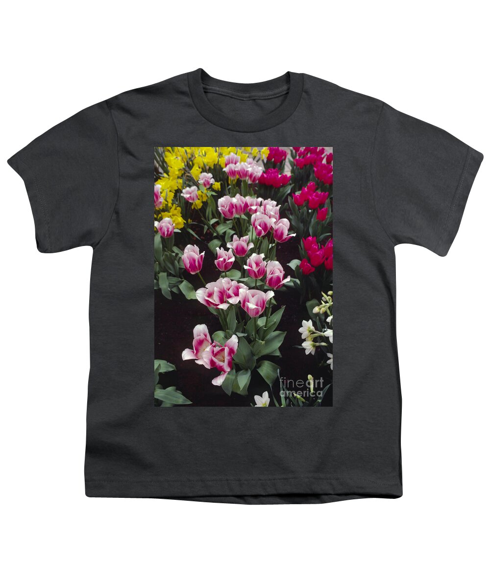 Europe Youth T-Shirt featuring the photograph Holland Tulip Spray by Craig Lovell