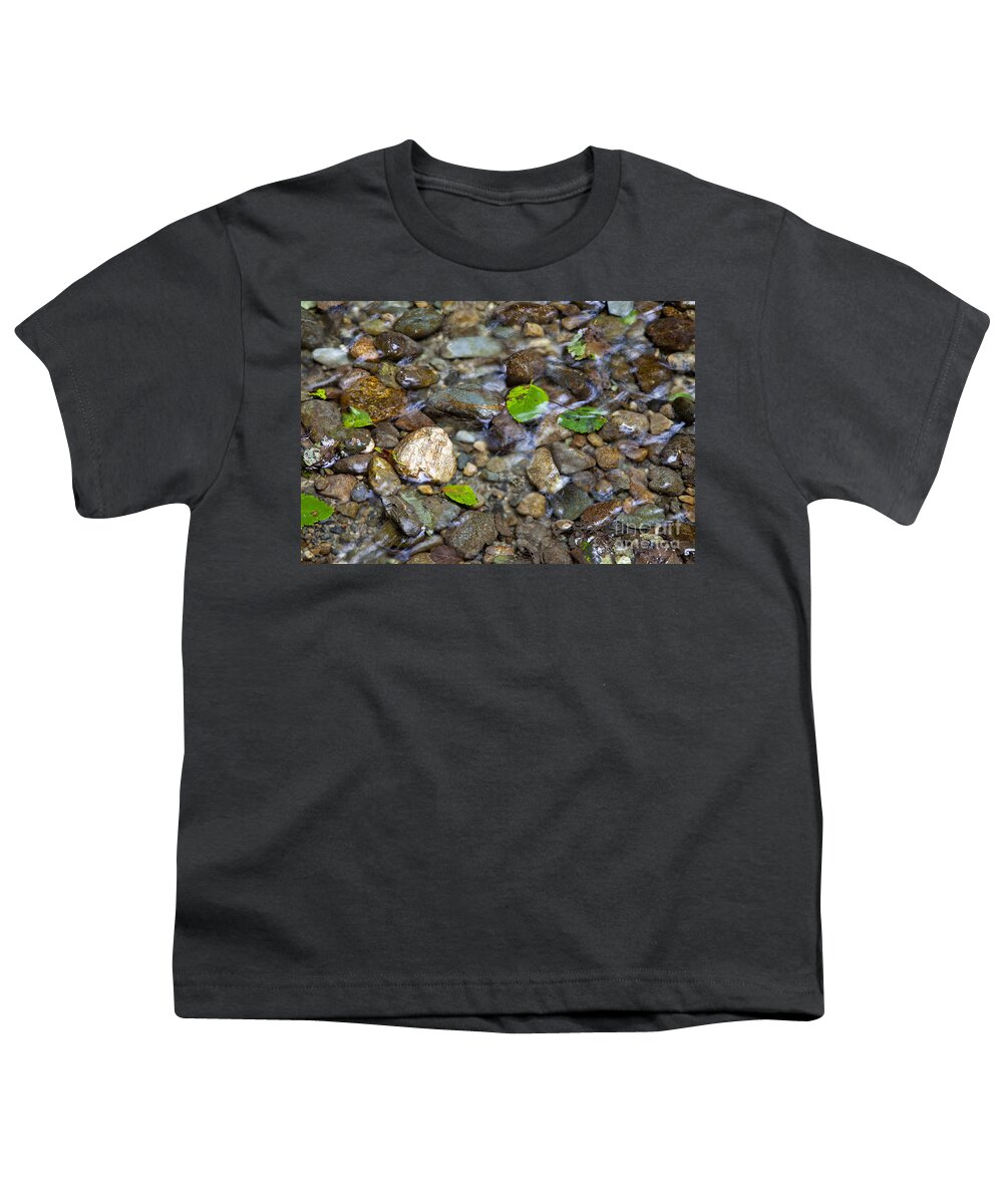 Fern Canyon Youth T-Shirt featuring the photograph Home Creek by Rick Pisio