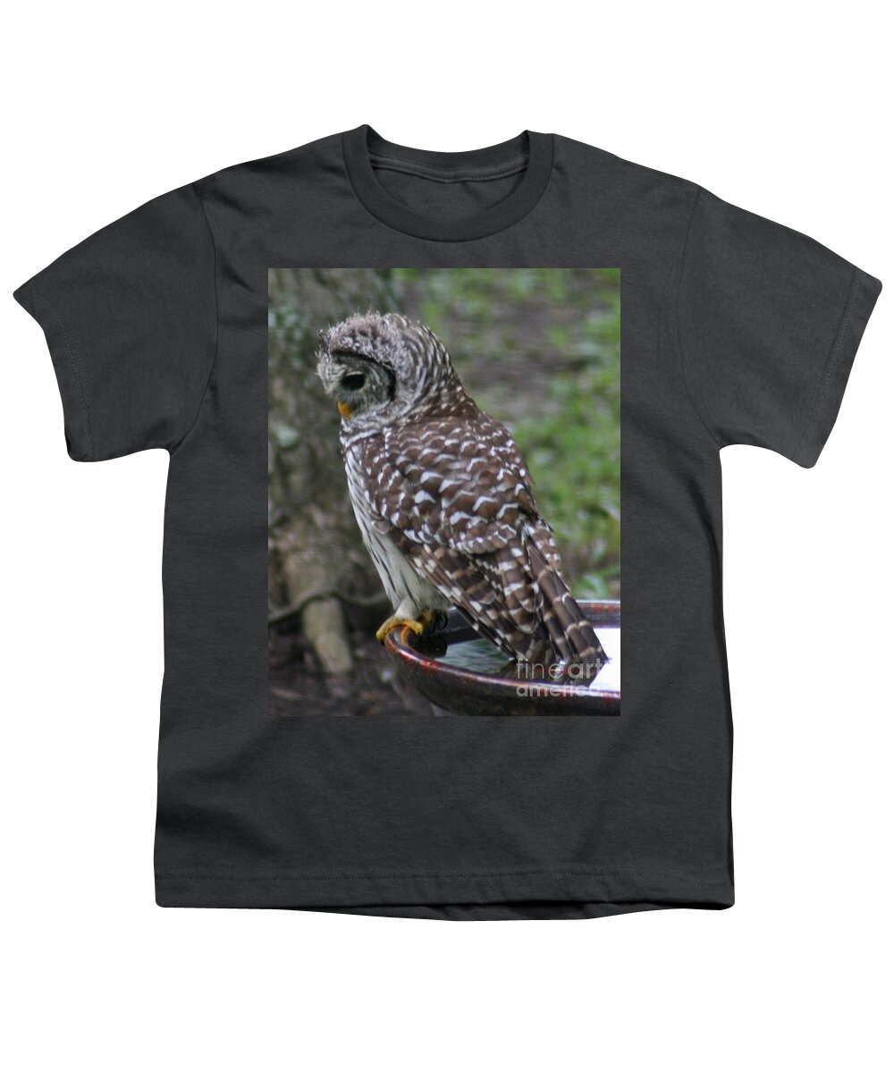 Owl Youth T-Shirt featuring the painting Hooty Bath by Jimmie Bartlett