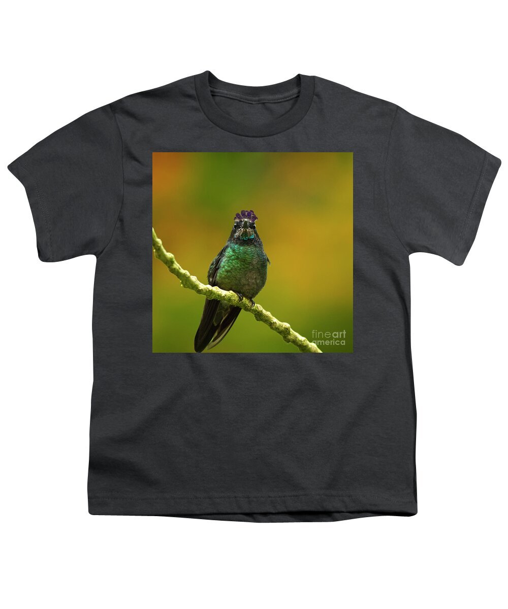 Magnificent Hummingbird Youth T-Shirt featuring the photograph Hummingbird with a lilac Crown by Heiko Koehrer-Wagner