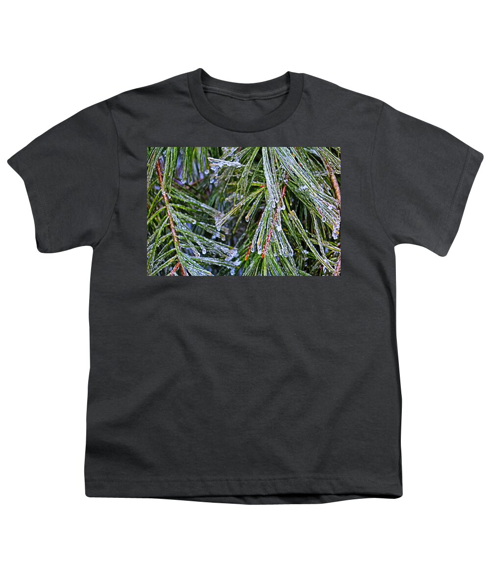 Ice Youth T-Shirt featuring the photograph Ice On Pine Needles by Daniel Reed