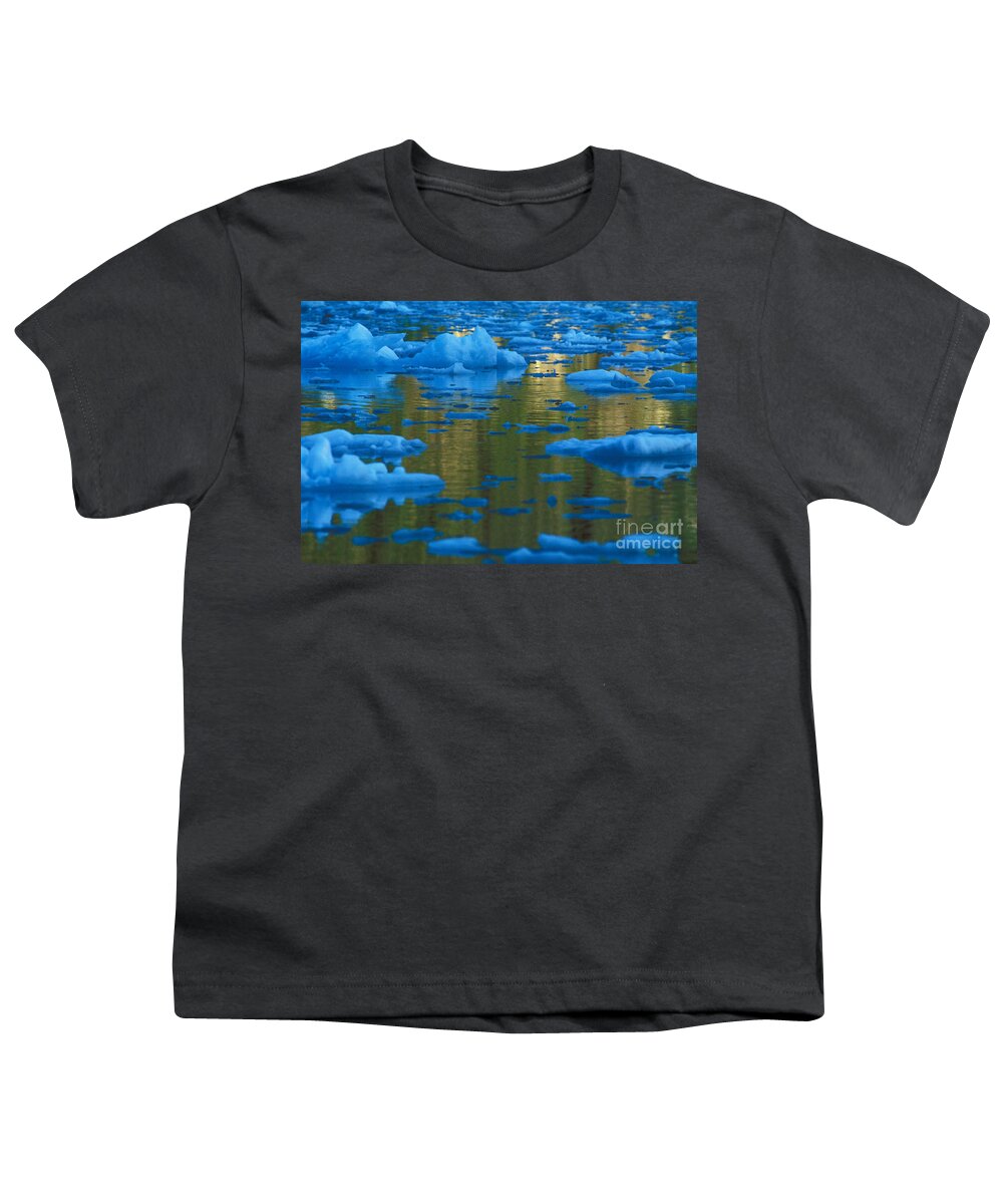 Glacier Youth T-Shirt featuring the photograph Icebergs, Leconte Bay, Alaska by Ron Sanford