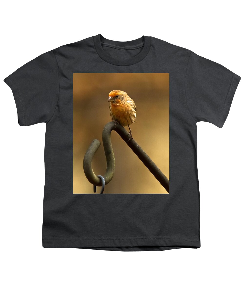 Purple Finch Youth T-Shirt featuring the photograph I'm Orange by Robert L Jackson