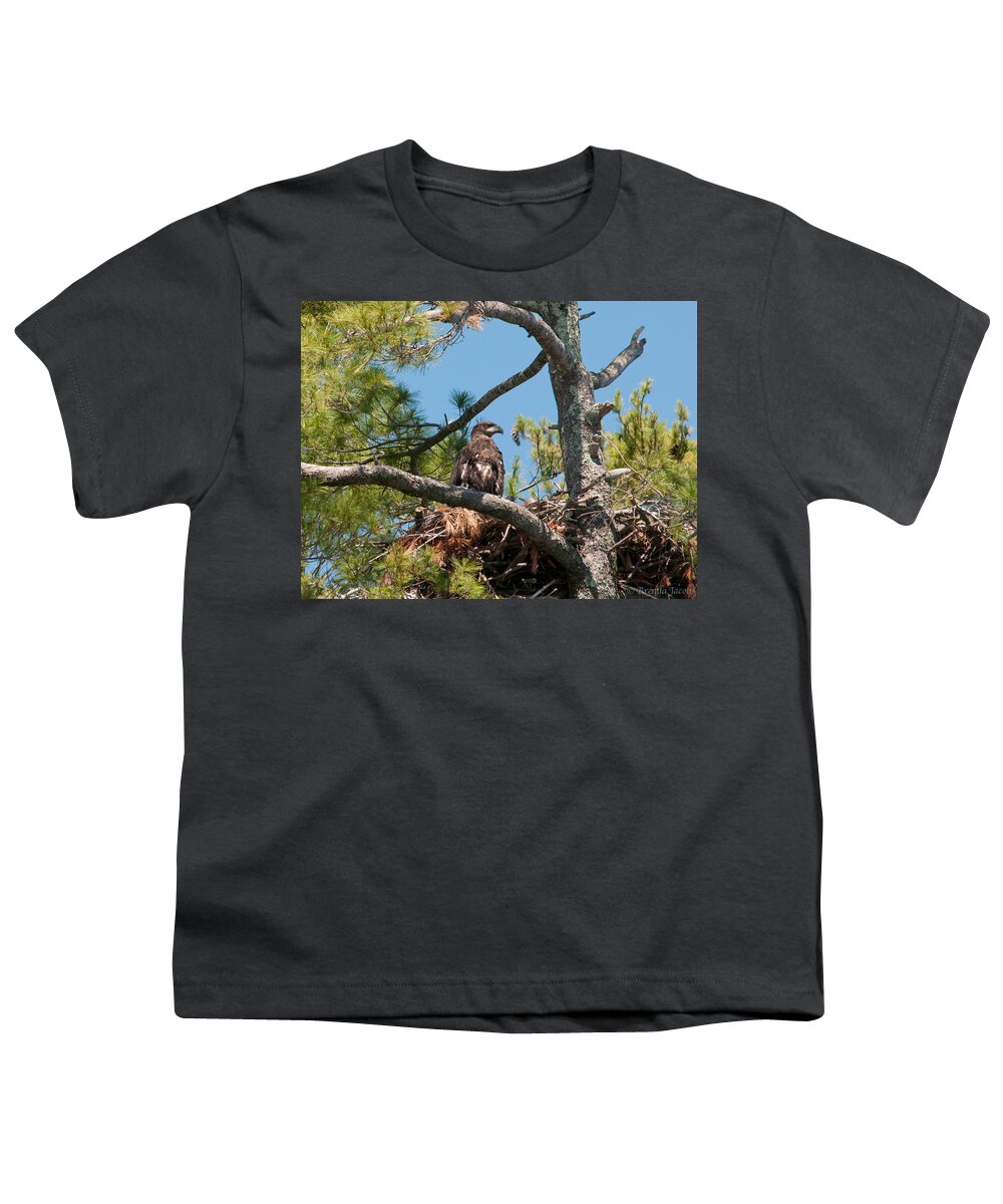 Bald Eagle Youth T-Shirt featuring the photograph Immature Bald Eagle by Brenda Jacobs