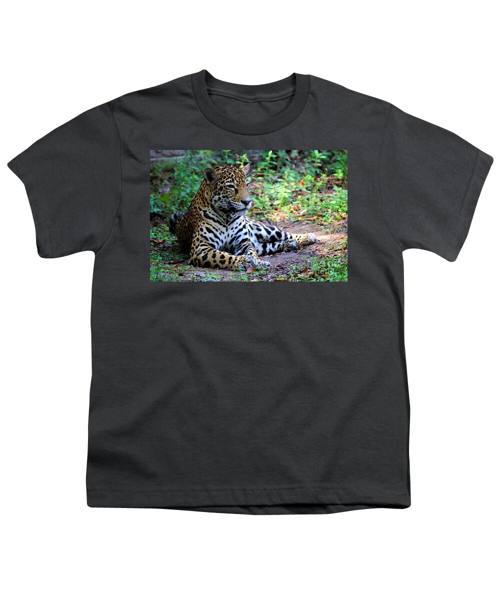 Big Cats Youth T-Shirt featuring the photograph Jaguar Resting from Play by Kathy White
