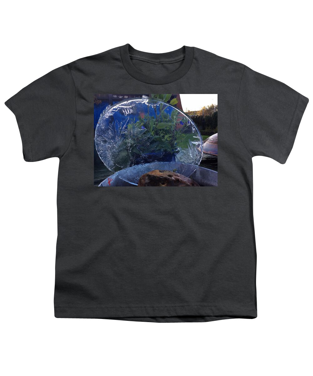 Colette Youth T-Shirt featuring the photograph January 2015 Ice Water Experiment by Colette V Hera Guggenheim