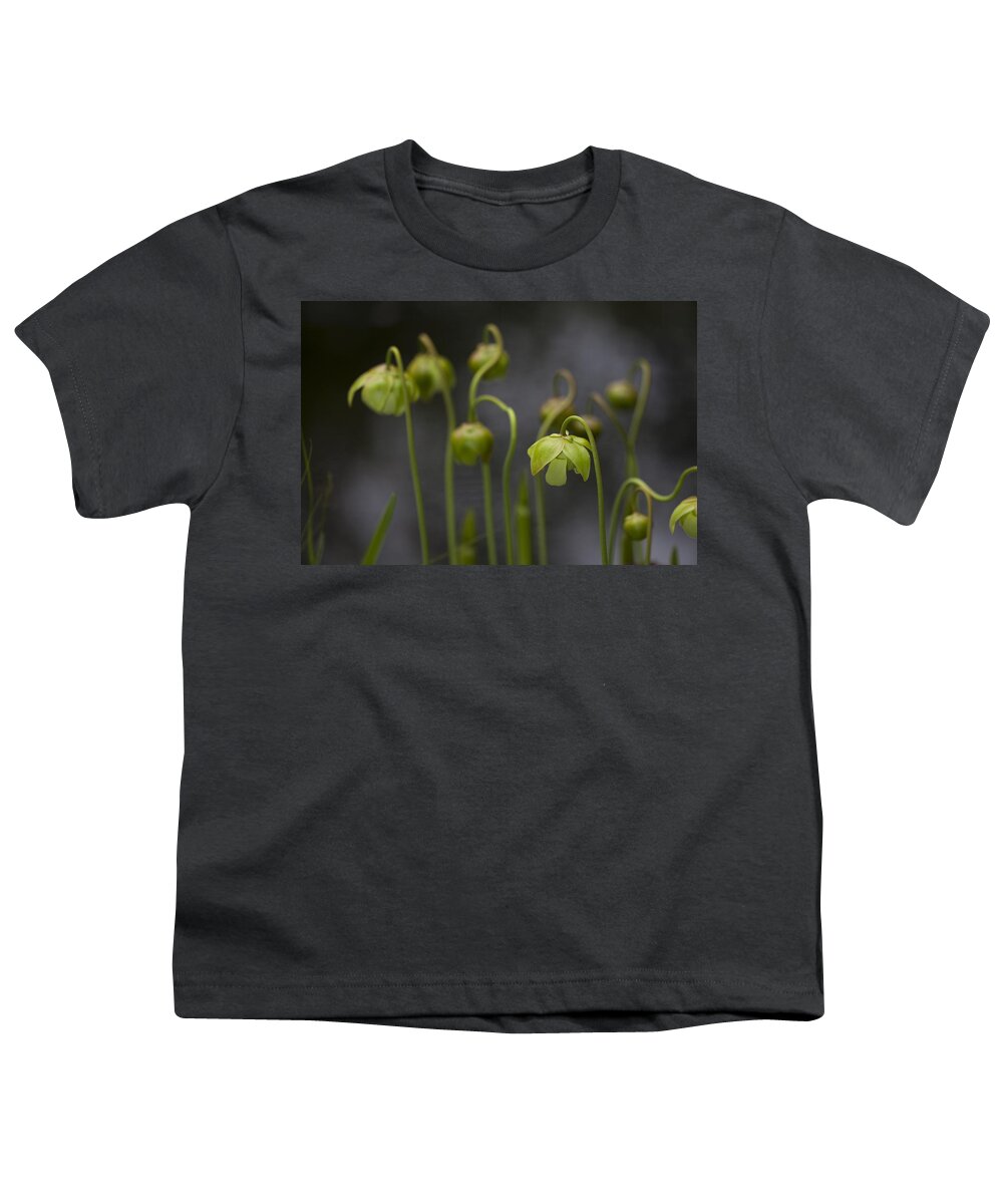 Anthocyanin-free Variant Youth T-Shirt featuring the photograph Jones Pitcherplant by Hal Horwitz