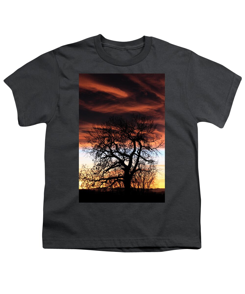 Sunset Youth T-Shirt featuring the photograph Large Cottonwood At Sunset by Shane Bechler