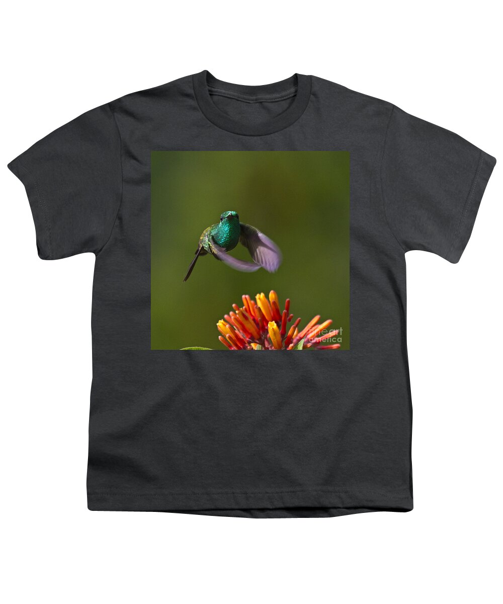 Bird Youth T-Shirt featuring the photograph Little Hedgehopper by Heiko Koehrer-Wagner