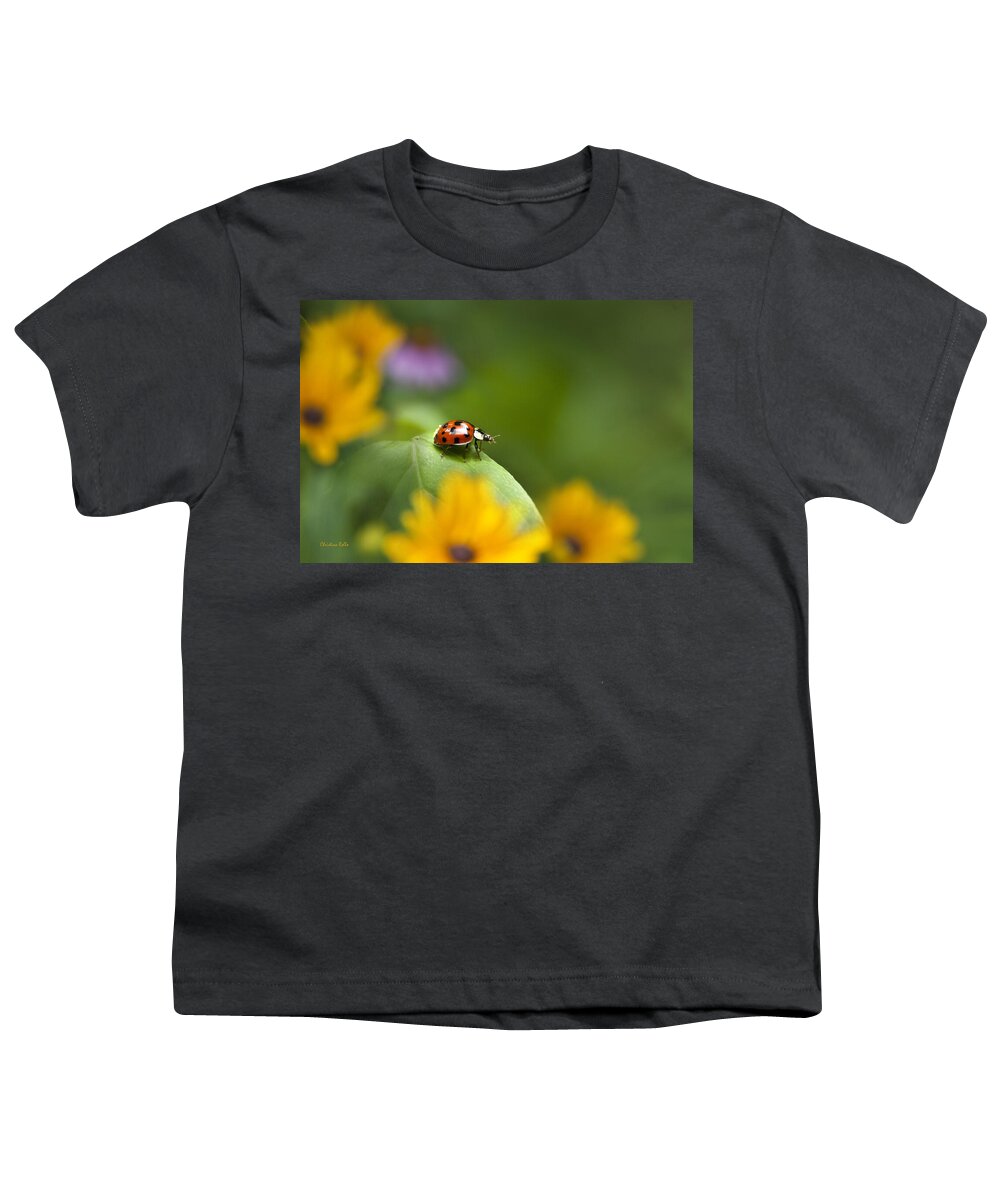 Ladybug Youth T-Shirt featuring the photograph Lonely Ladybug by Christina Rollo