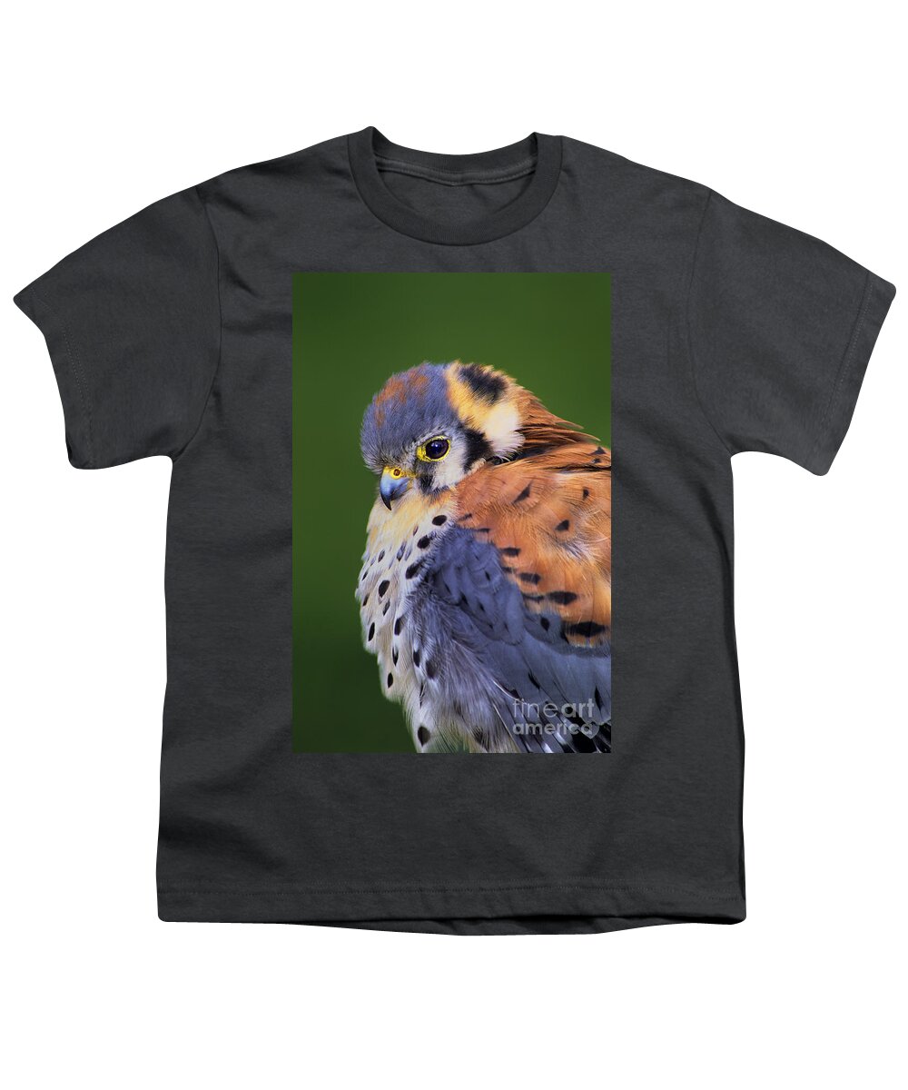Dave Welling Youth T-Shirt featuring the photograph Male American Kestrel Falco Sparverius Captive by Dave Welling
