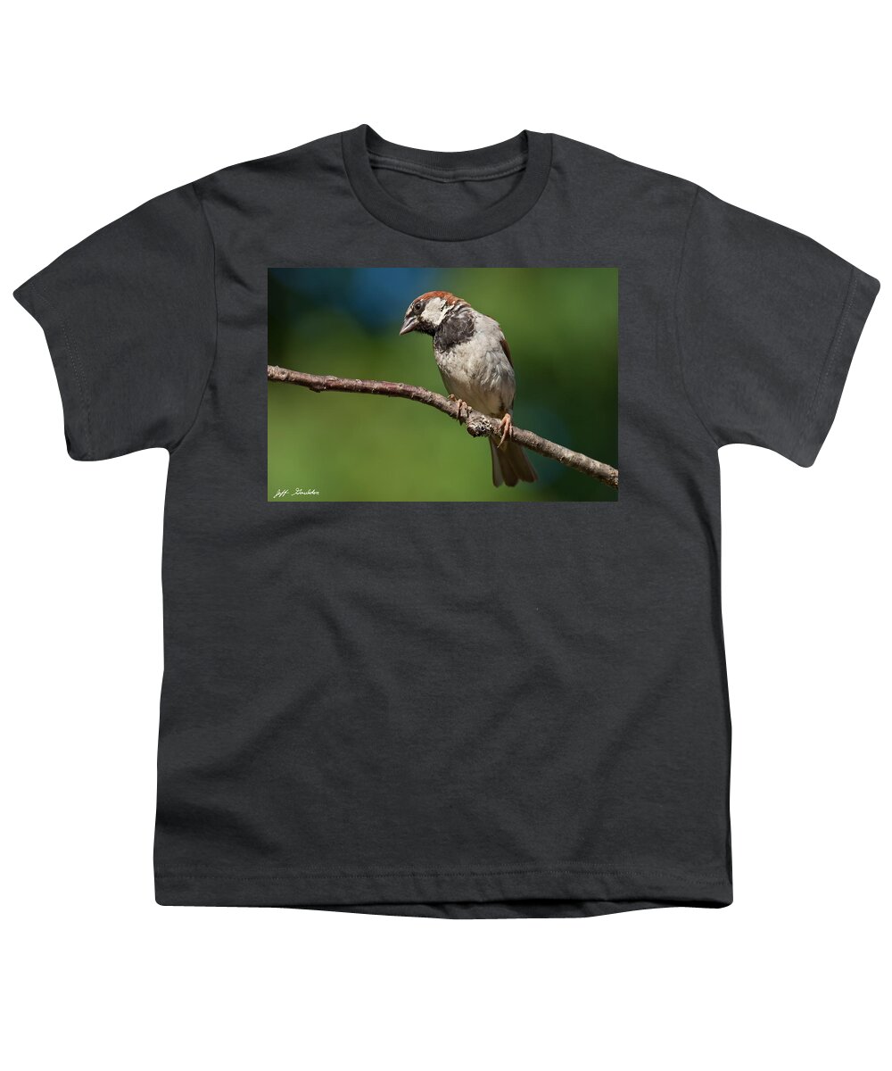 Animal Youth T-Shirt featuring the photograph Male House Sparrow Perched in a Tree by Jeff Goulden