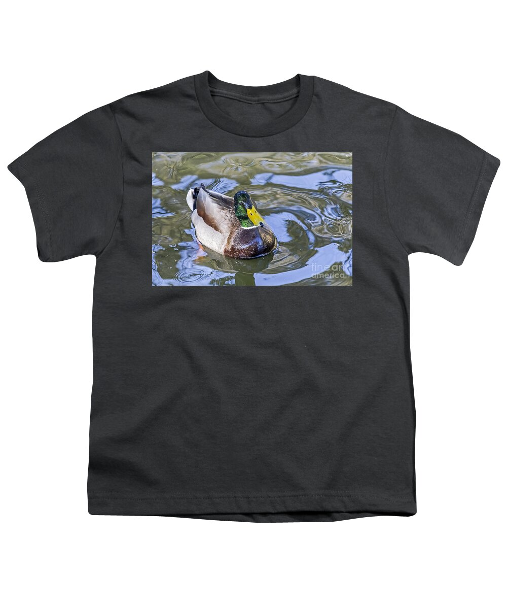 Anas Platyrhynchos Youth T-Shirt featuring the photograph Mallard Posing by Kate Brown