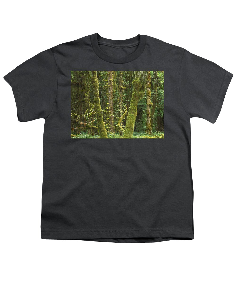 Feb0514 Youth T-Shirt featuring the photograph Maple Glade Quinault Rainforest by Tim Fitzharris