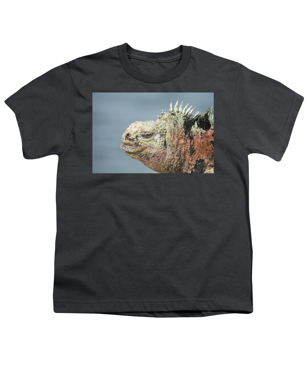 Tui De Roy Youth T-Shirt featuring the photograph Marine Iguana Male In Breeding Colors by Tui De Roy