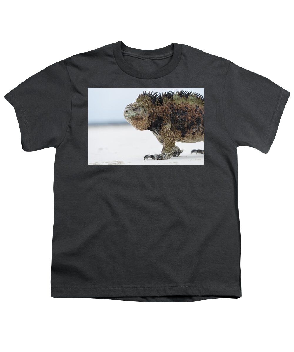 Tui De Roy Youth T-Shirt featuring the photograph Marine Iguana Male Turtle Bay Santa by Tui De Roy