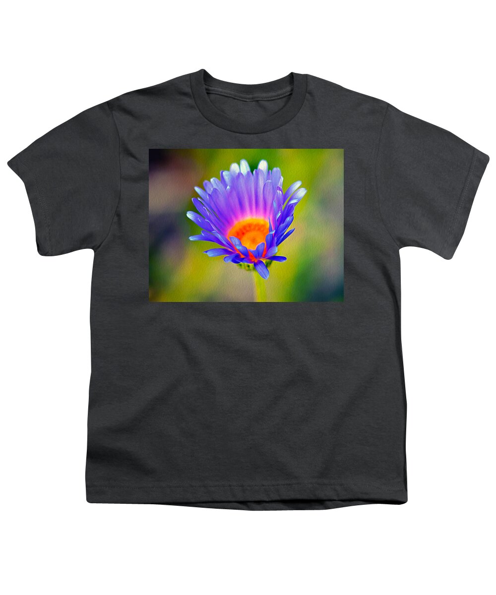Pollen Youth T-Shirt featuring the photograph Mojave Aster by Joe Schofield
