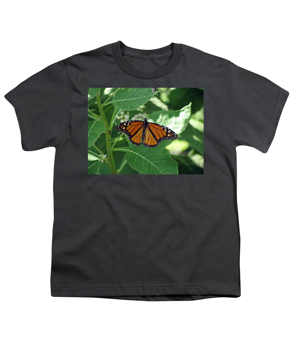 Butterfly Youth T-Shirt featuring the photograph Monarch Butterfly 36 by Pamela Critchlow