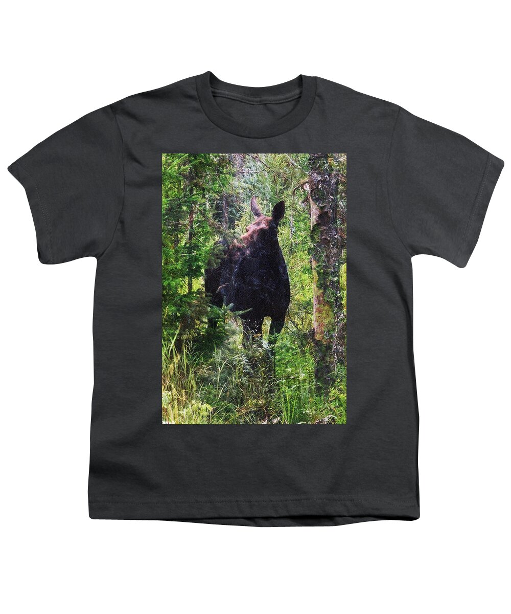 Moose Youth T-Shirt featuring the photograph Moose Near the Androscoggin River by Marie Jamieson