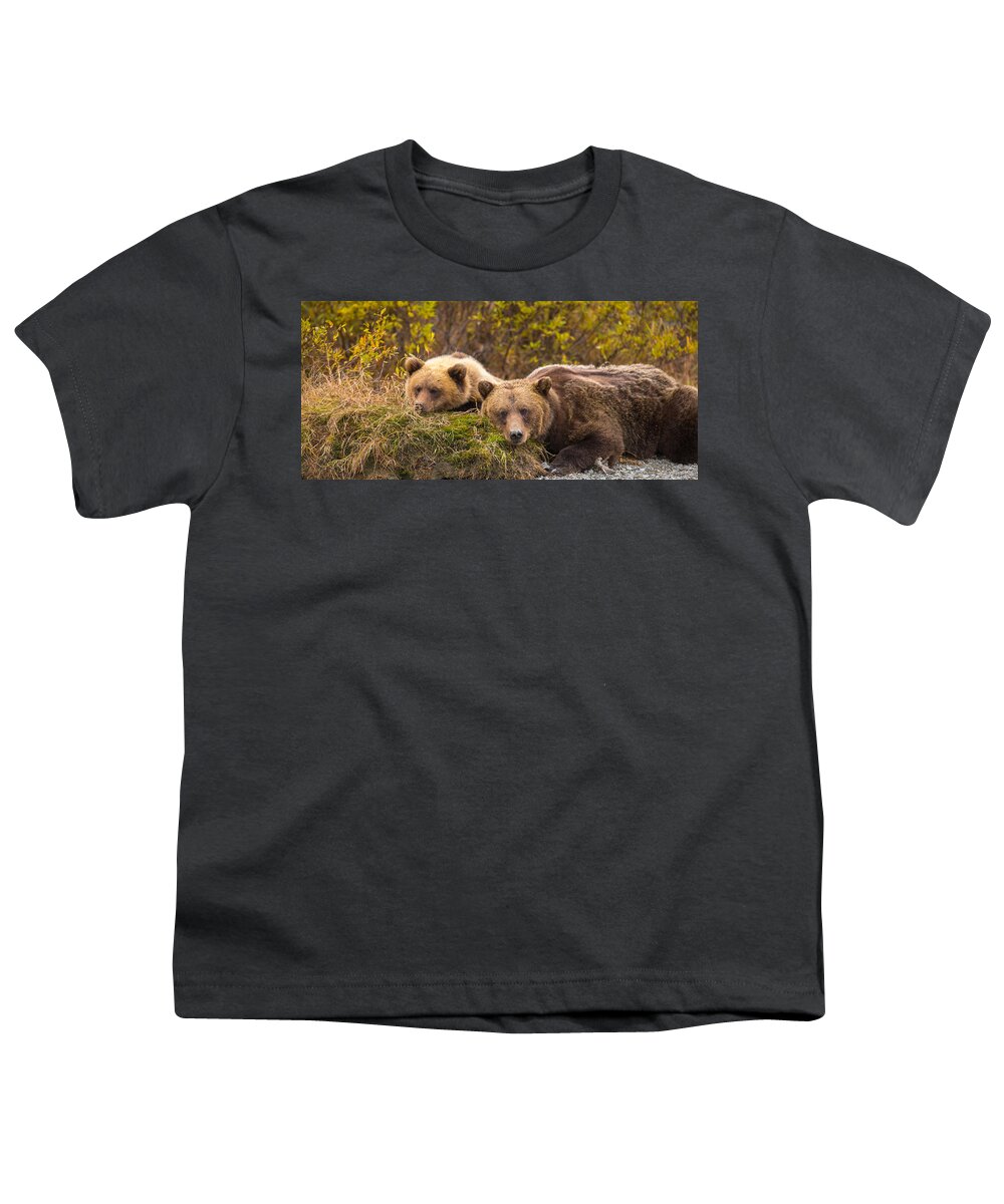 Bear Youth T-Shirt featuring the photograph Mother's Love by Kevin Dietrich