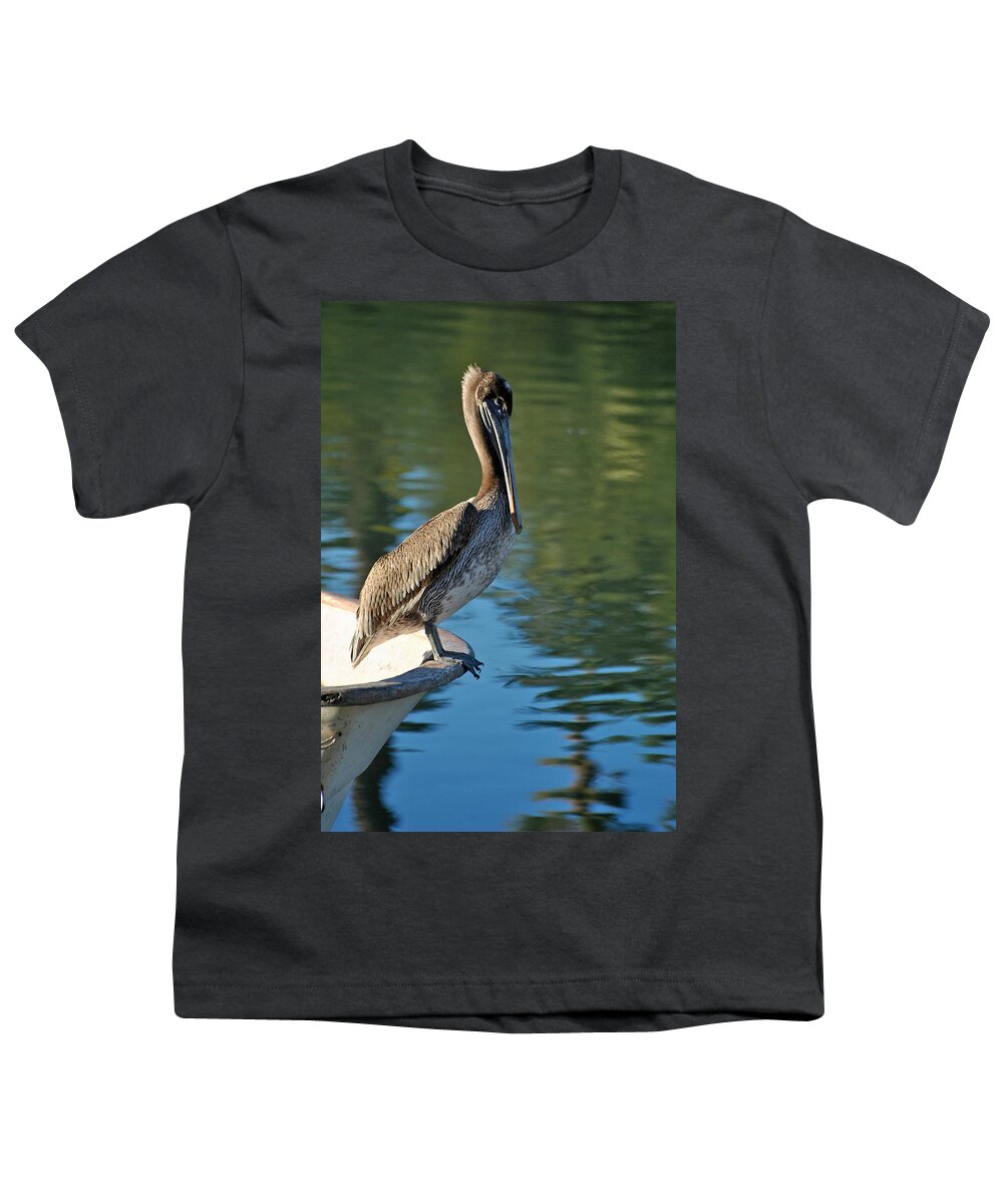 Mulege Youth T-Shirt featuring the photograph Mulege Sea Birds 18 by JustJeffAz Photography