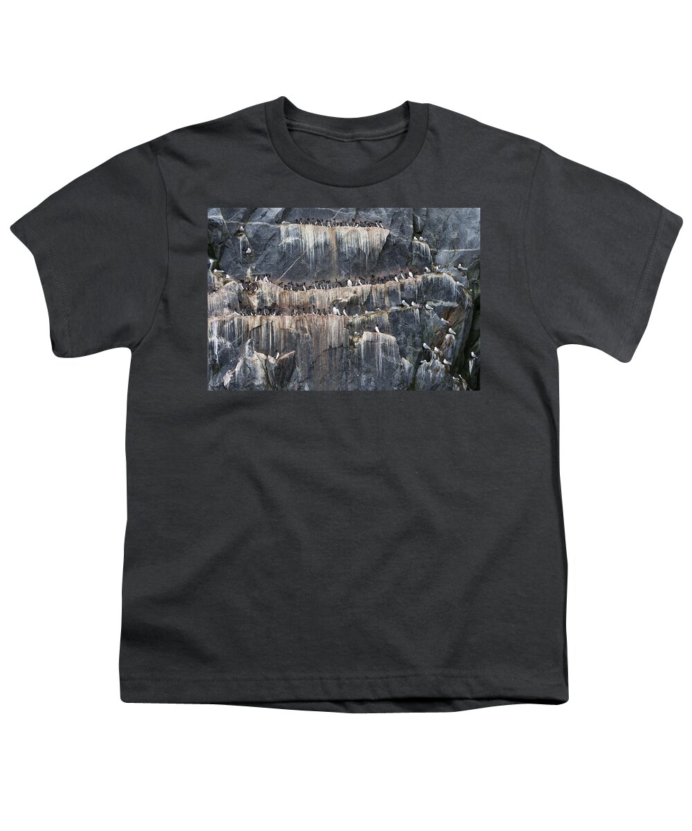Animal Youth T-Shirt featuring the photograph Murres And Kittiwakes by John Shaw
